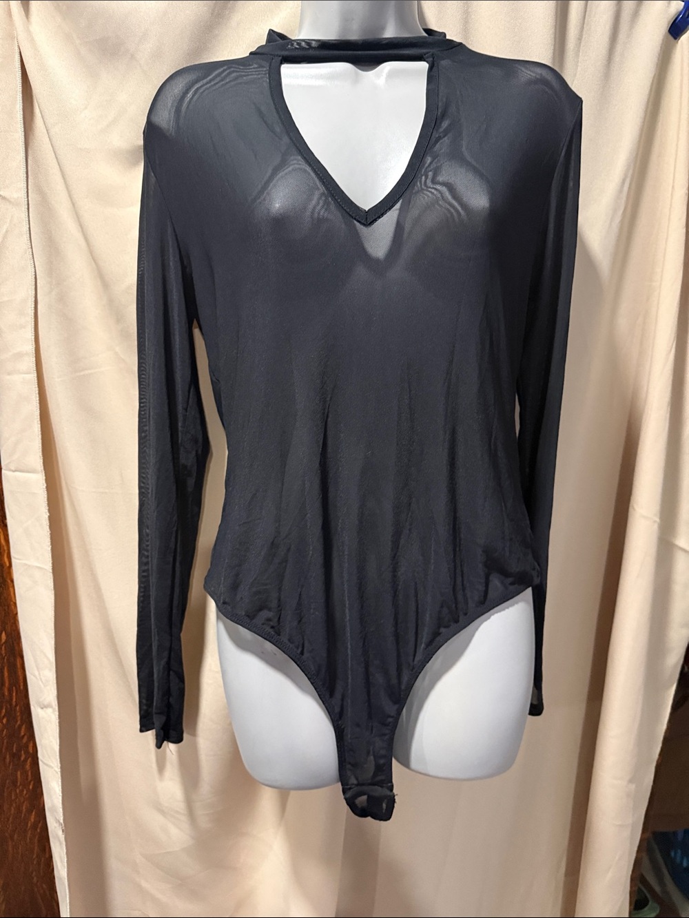 Black Long-Sleeve Sheer V-Neck Bodysuit - Women